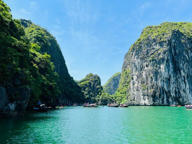 WhatsApp Image 2026-02-07 at 7.51.52 PM